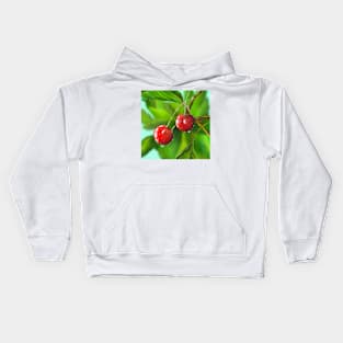 Cherry Painting Kids Hoodie